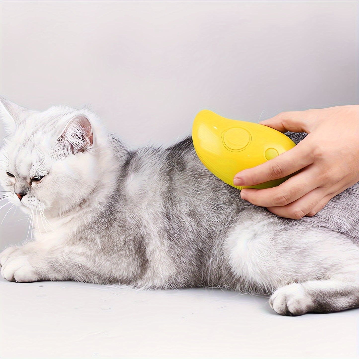 PET Steam Brush